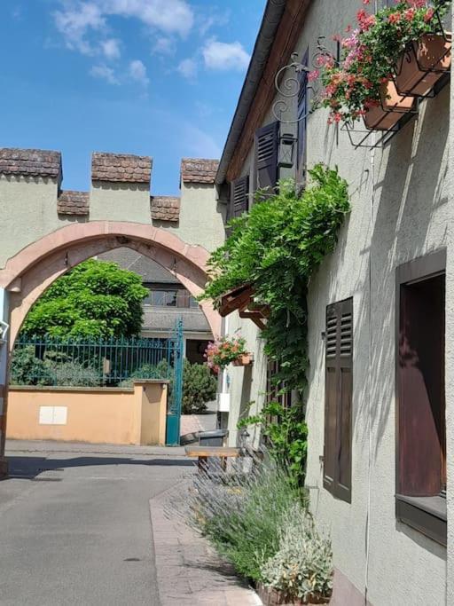 Gite Le3 Bergheim Exteriér fotografie